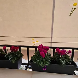  Appartamento Center